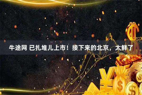 牛途网 已扎堆儿上市！接下来的北京，太鲜了