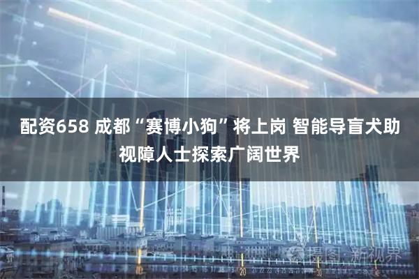 配资658 成都“赛博小狗”将上岗 智能导盲犬助视障人士探索广阔世界