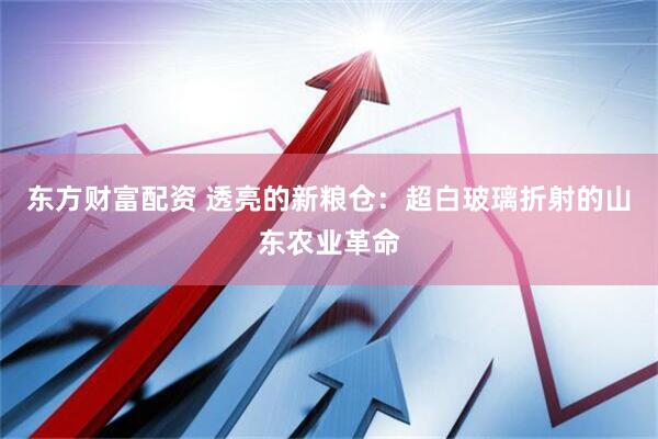 东方财富配资 透亮的新粮仓：超白玻璃折射的山东农业革命