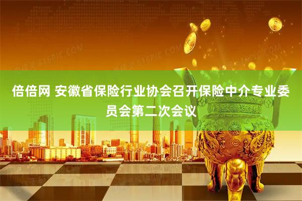 倍倍网 安徽省保险行业协会召开保险中介专业委员会第二次会议