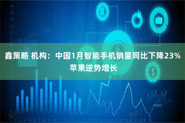 鑫策略 机构：中国1月智能手机销量同比下降23% 苹果逆势增长